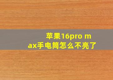 苹果16pro max手电筒怎么不亮了